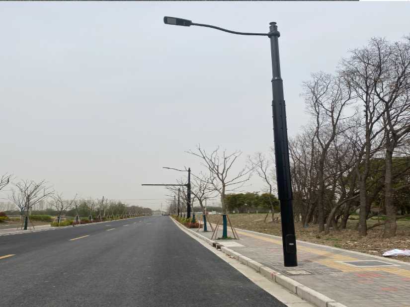 庆阳市上海综合杆 太阳能路灯工程